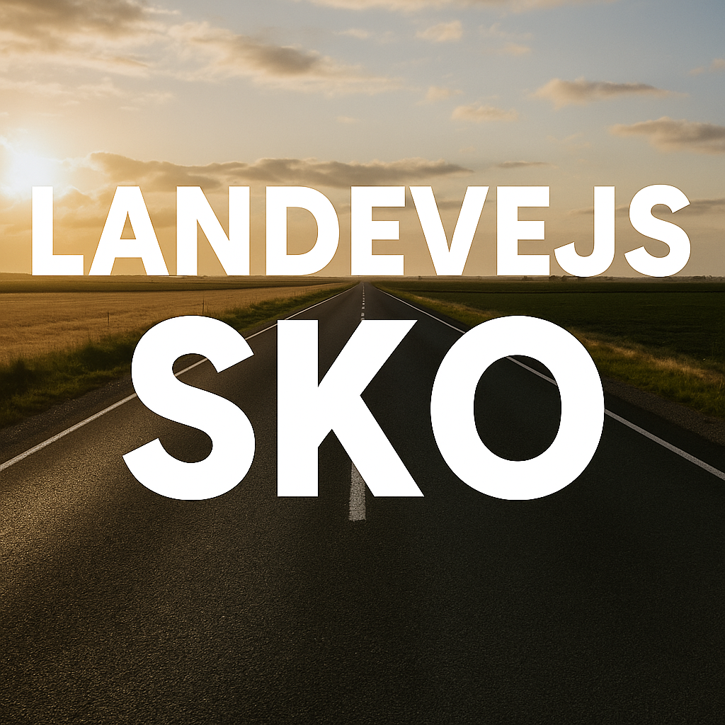 Cykelsko til brede fødder